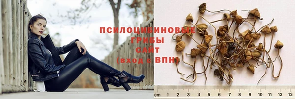 соль ск Алексеевка