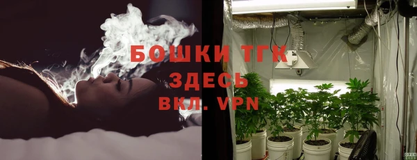 ГАЛЛЮЦИНОГЕННЫЕ ГРИБЫ Алексин