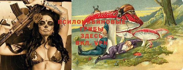 ГАЛЛЮЦИНОГЕННЫЕ ГРИБЫ Алексин