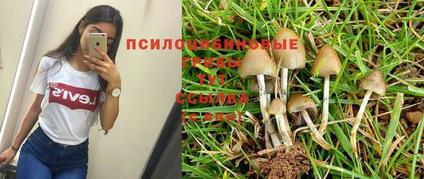 каннабис Алзамай